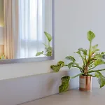 Hotell Palladio Malcontenta
